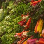 REBEKAH ROCHELLE PHOTOGRAPHY