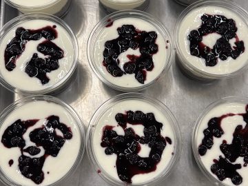 Blueberry Chia Pudding Blueberry Chia Pudding